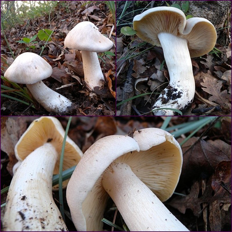 ...ultima bellissima giornata!